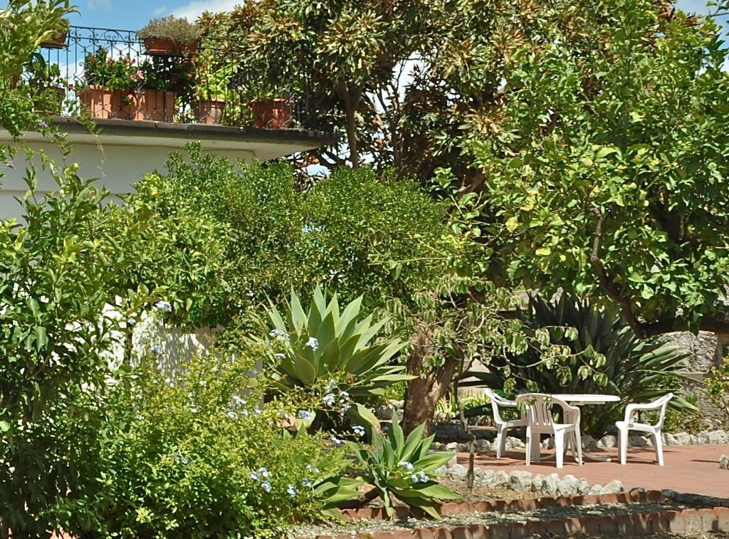 Seafront Apartments Garden House Таормина Номер фото