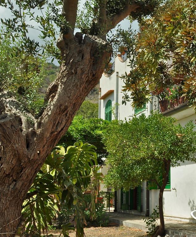 Seafront Apartments Garden House Таормина Номер фото